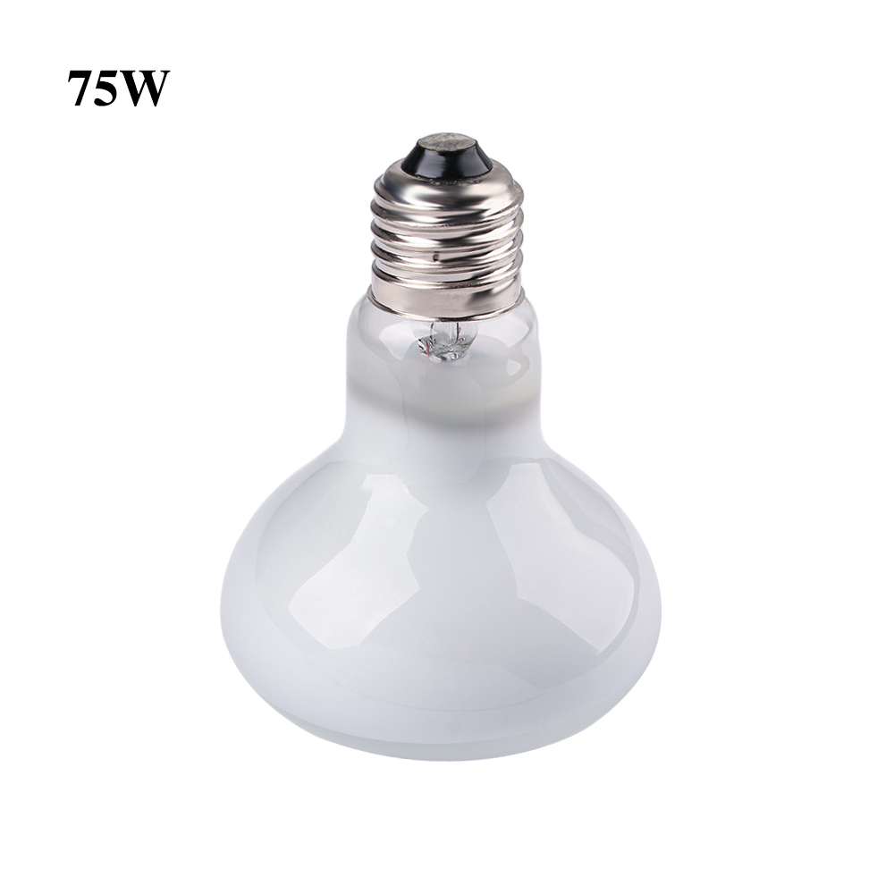 Lâmpada de Aquecimento para Ta - Basking Bulb Halogen avaliação e preço