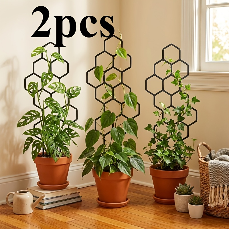Dois Dispositivos de Treinamen - Vine Climbing Plastic avaliação e preço