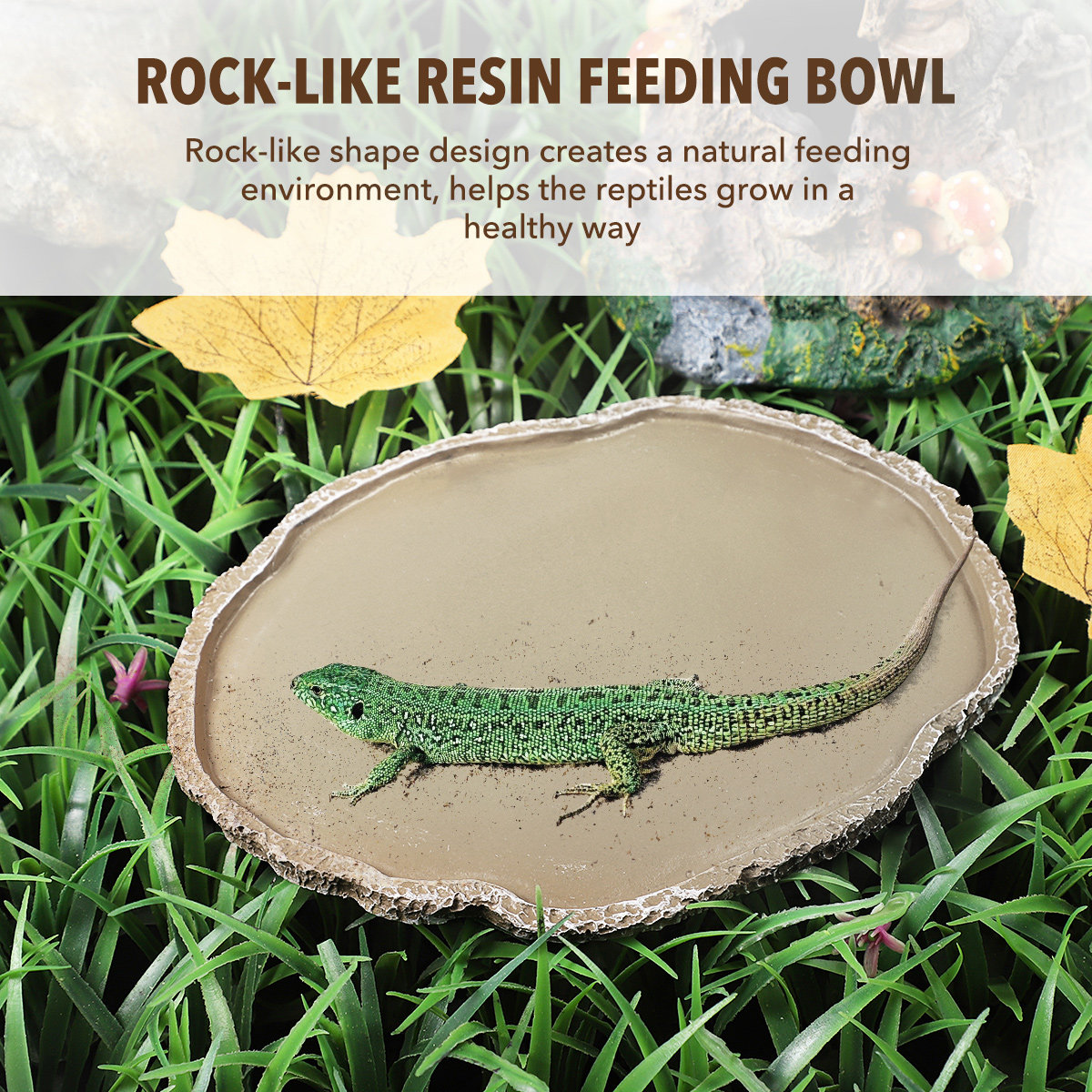 Tigela de Alimentação para Rép - Water Dish Reptile avaliação e preço